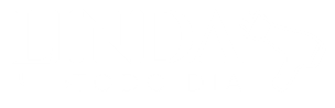 Logo Footer